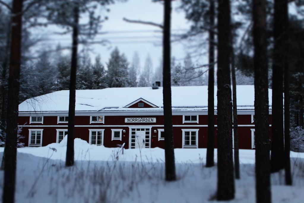 Svanstein Lodge Buitenkant foto